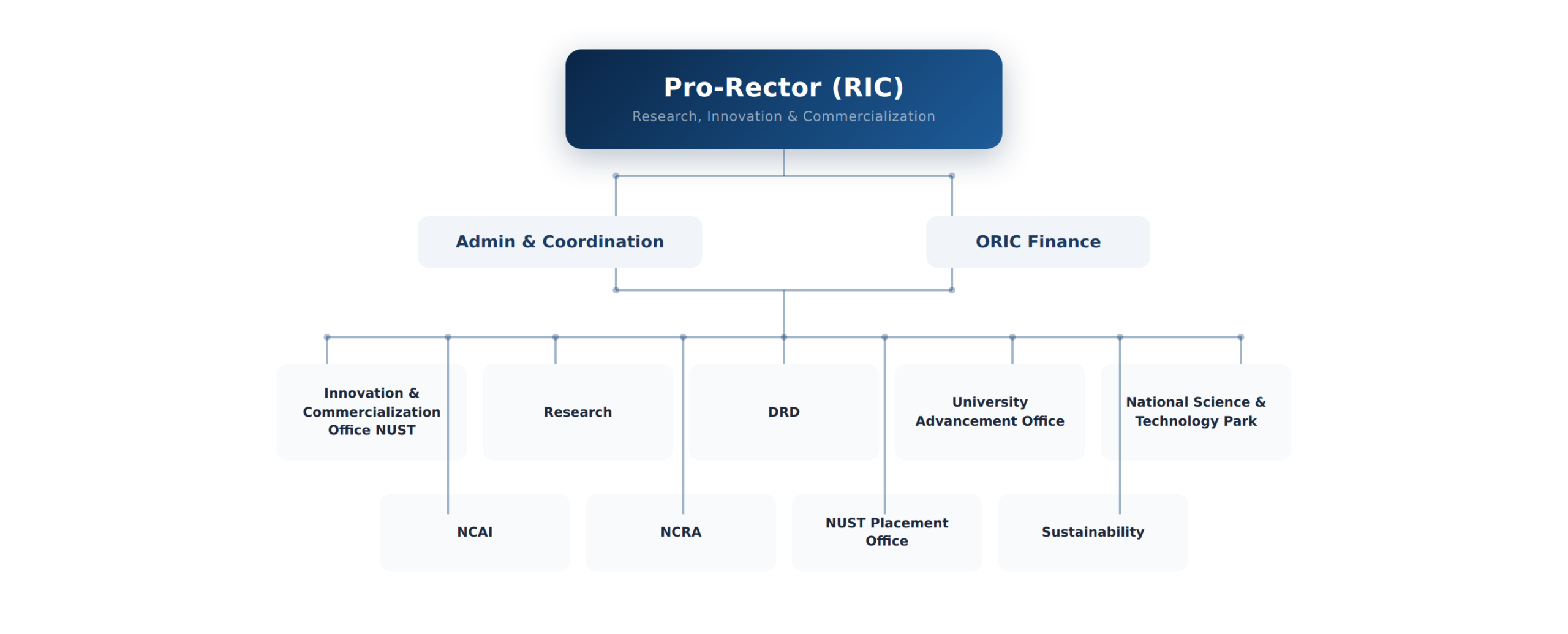RIC Organogram
